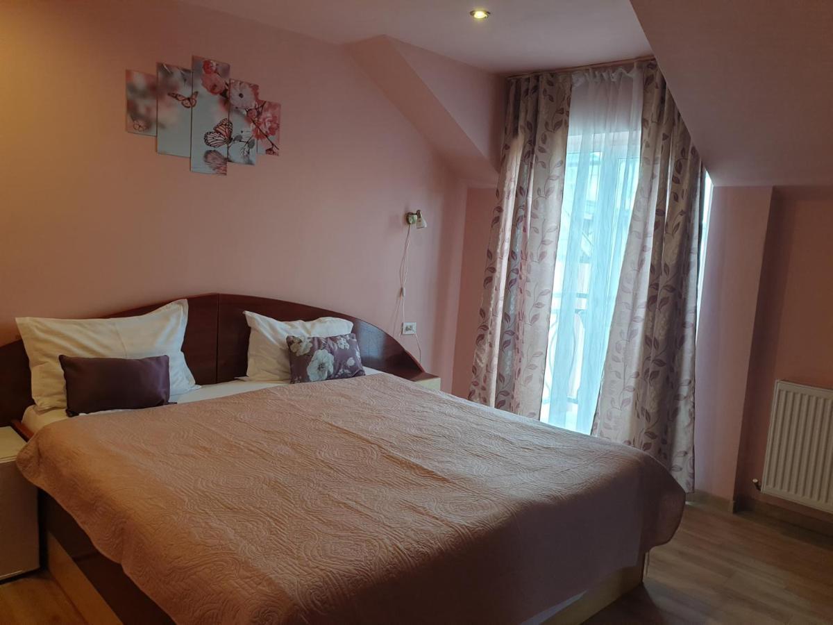 Pensiunea Vila Dana Cluj-Napoca Exteriör bild