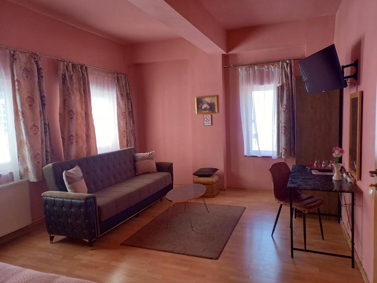 Pensiunea Vila Dana Cluj-Napoca Exteriör bild