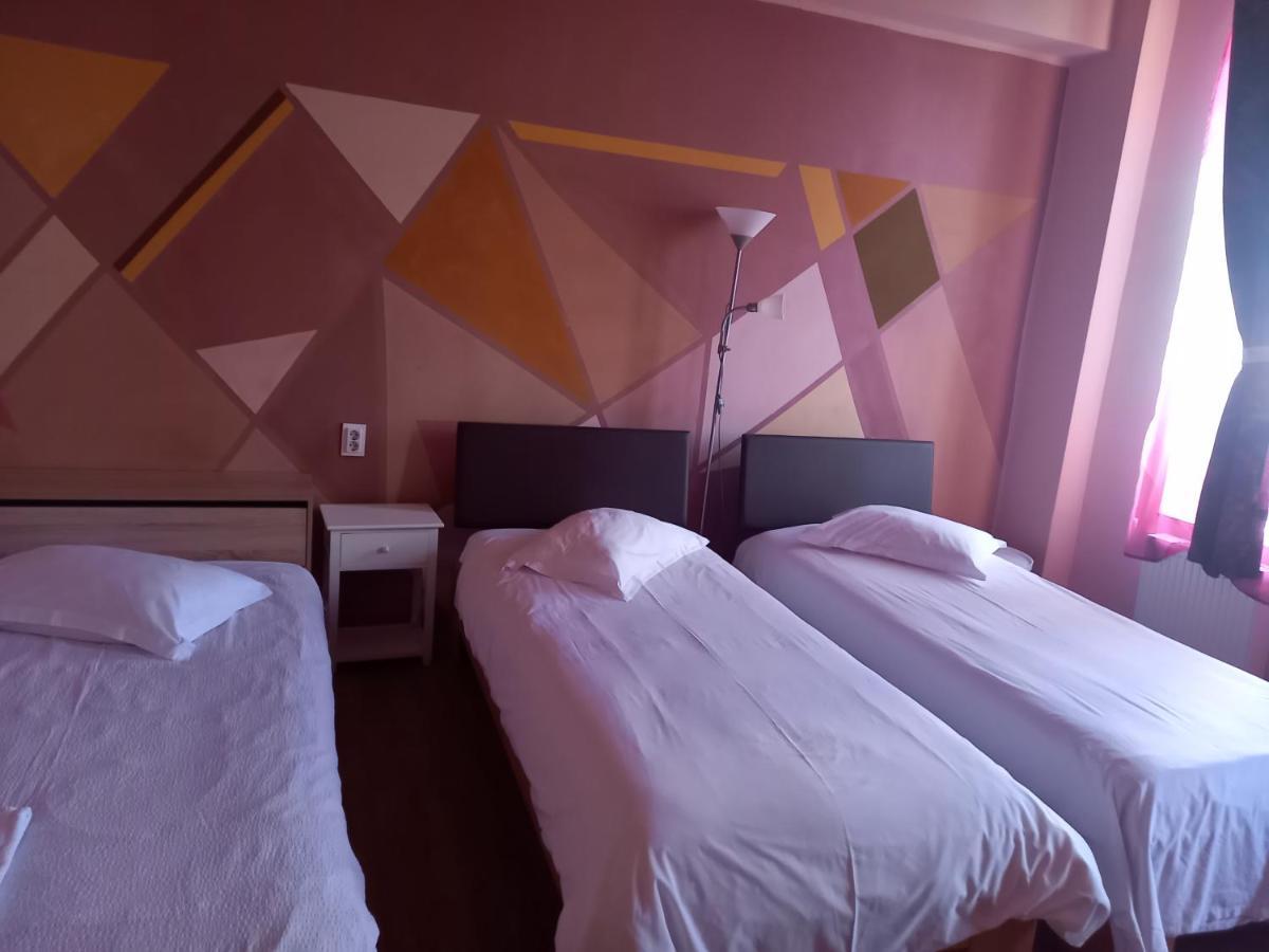 Pensiunea Vila Dana Cluj-Napoca Exteriör bild